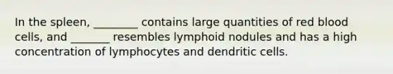 In the spleen, ________ contains large quantities of red blood cells, and _______ resembles lymphoid nodules and has a high concentration of lymphocytes and dendritic cells.