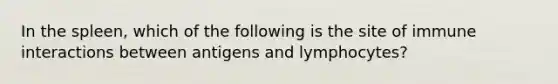 In the spleen, which of the following is the site of immune interactions between antigens and lymphocytes?