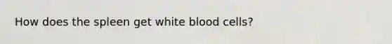 How does the spleen get white blood cells?