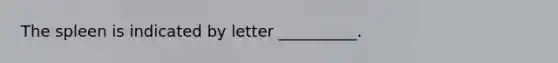 The spleen is indicated by letter __________.