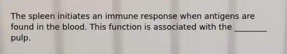 The spleen initiates an immune response when antigens are found in the blood. This function is associated with the ________ pulp.