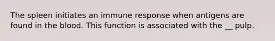 The spleen initiates an immune response when antigens are found in the blood. This function is associated with the __ pulp.