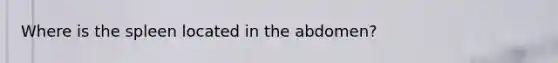 Where is the spleen located in the abdomen?