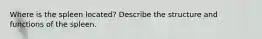 Where is the spleen located? Describe the structure and functions of the spleen.