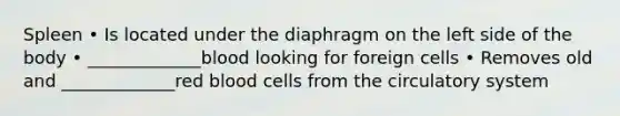 Spleen • Is located under the diaphragm on the left side of the body • _____________blood looking for foreign cells • Removes old and _____________red blood cells from the circulatory system