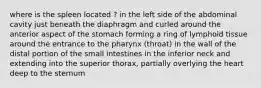 where is the spleen located ? in the left side of the abdominal cavity just beneath the diaphragm and curled around the anterior aspect of the stomach forming a ring of lymphoid tissue around the entrance to the pharynx (throat) in the wall of the distal portion of the small intestines in the inferior neck and extending into the superior thorax, partially overlying the heart deep to the sternum