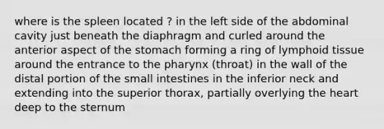 where is the spleen located ? in the left side of the abdominal cavity just beneath the diaphragm and curled around the anterior aspect of <a href='https://www.questionai.com/knowledge/kLccSGjkt8-the-stomach' class='anchor-knowledge'>the stomach</a> forming a ring of lymphoid tissue around the entrance to <a href='https://www.questionai.com/knowledge/ktW97n6hGJ-the-pharynx' class='anchor-knowledge'>the pharynx</a> (throat) in the wall of the distal portion of the small intestines in the inferior neck and extending into the superior thorax, partially overlying <a href='https://www.questionai.com/knowledge/kya8ocqc6o-the-heart' class='anchor-knowledge'>the heart</a> deep to the sternum