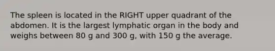 The spleen is located in the RIGHT upper quadrant of the abdomen. It is the largest lymphatic organ in the body and weighs between 80 g and 300 g, with 150 g the average.