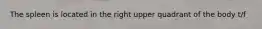 The spleen is located in the right upper quadrant of the body t/f