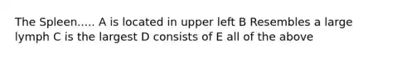 The Spleen..... A is located in upper left B Resembles a large lymph C is the largest D consists of E all of the above