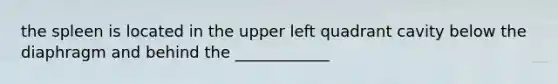 the spleen is located in the upper left quadrant cavity below the diaphragm and behind the ____________