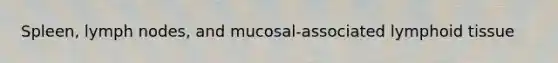 Spleen, lymph nodes, and mucosal-associated lymphoid tissue