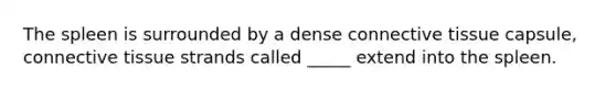 The spleen is surrounded by a dense connective tissue capsule, connective tissue strands called _____ extend into the spleen.