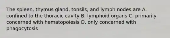 The spleen, thymus gland, tonsils, and lymph nodes are A. confined to the thoracic cavity B. lymphoid organs C. primarily concerned with hematopoiesis D. only concerned with phagocytosis