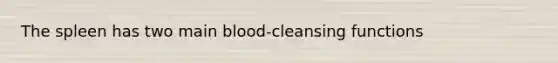 The spleen has two main blood-cleansing functions