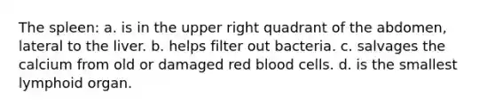 The spleen: a. is in the upper right quadrant of the abdomen, lateral to the liver. b. helps filter out bacteria. c. salvages the calcium from old or damaged red blood cells. d. is the smallest lymphoid organ.