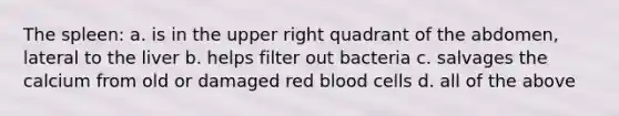 The spleen: a. is in the upper right quadrant of the abdomen, lateral to the liver b. helps filter out bacteria c. salvages the calcium from old or damaged red blood cells d. all of the above