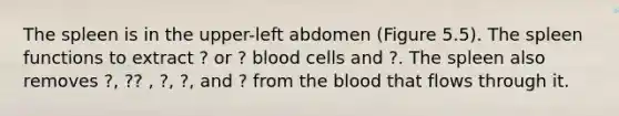 The spleen is in the upper-left abdomen (Figure 5.5). The spleen functions to extract ? or ? blood cells and ?. The spleen also removes ?, ?? , ?, ?, and ? from the blood that flows through it.