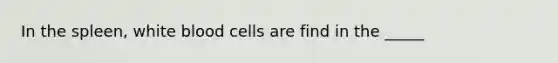 In the spleen, white blood cells are find in the _____