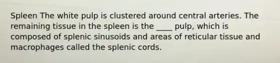 Spleen The white pulp is clustered around central arteries. The remaining tissue in the spleen is the ____ pulp, which is composed of splenic sinusoids and areas of reticular tissue and macrophages called the splenic cords.