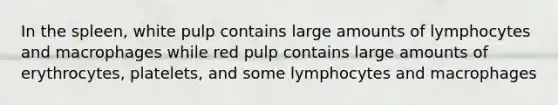 In the spleen, white pulp contains large amounts of lymphocytes and macrophages while red pulp contains large amounts of erythrocytes, platelets, and some lymphocytes and macrophages