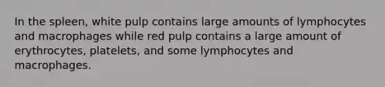 In the spleen, white pulp contains large amounts of lymphocytes and macrophages while red pulp contains a large amount of erythrocytes, platelets, and some lymphocytes and macrophages.