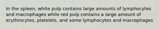 In the spleen, white pulp contains large amounts of lymphocytes and macrophages while red pulp contains a large amount of erythrocytes, platelets, and some lymphocytes and macrophages