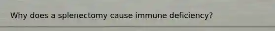 Why does a splenectomy cause immune deficiency?