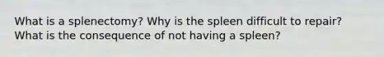 What is a splenectomy? Why is the spleen difficult to repair? What is the consequence of not having a spleen?