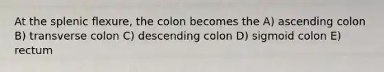 At the splenic flexure, the colon becomes the A) ascending colon B) transverse colon C) descending colon D) sigmoid colon E) rectum