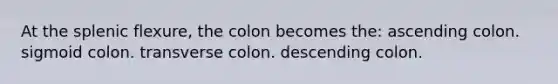 At the splenic flexure, the colon becomes the: ascending colon. sigmoid colon. transverse colon. descending colon.