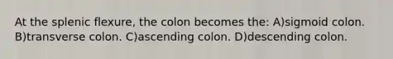 At the splenic flexure, the colon becomes the: A)sigmoid colon. B)transverse colon. C)ascending colon. D)descending colon.