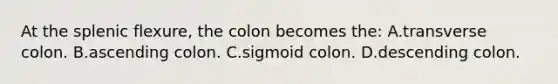 At the splenic flexure, the colon becomes the: A.transverse colon. B.ascending colon. C.sigmoid colon. D.descending colon.