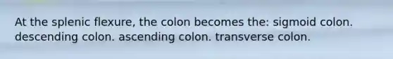 At the splenic flexure, the colon becomes the: sigmoid colon. descending colon. ascending colon. transverse colon.