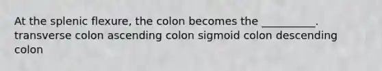 At the splenic flexure, the colon becomes the __________. transverse colon ascending colon sigmoid colon descending colon