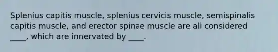 Splenius capitis muscle, splenius cervicis muscle, semispinalis capitis muscle, and erector spinae muscle are all considered ____, which are innervated by ____.