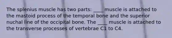 The splenius muscle has two parts: ____ muscle is attached to the mastoid process of the temporal bone and the superior nuchal line of the occipital bone. The ____ muscle is attached to the transverse processes of vertebrae C1 to C4.