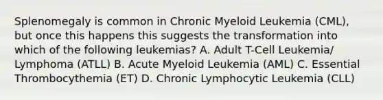 Splenomegaly is common in Chronic Myeloid Leukemia (CML), but once this happens this suggests the transformation into which of the following leukemias? A. Adult T-Cell Leukemia/ Lymphoma (ATLL) B. Acute Myeloid Leukemia (AML) C. Essential Thrombocythemia (ET) D. Chronic Lymphocytic Leukemia (CLL)