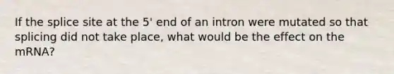 If the splice site at the 5' end of an intron were mutated so that splicing did not take place, what would be the effect on the mRNA?