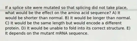 If a splice site were mutated so that splicing did not take place, what would be the effect on the amino acid sequence? A) It would be shorter than normal. B) It would be longer than normal. C) It would be the same length but would encode a different protein. D) It would be unable to fold into its correct structure. E) It depends on the mutant mRNA sequence.