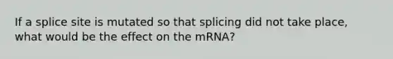 If a splice site is mutated so that splicing did not take place, what would be the effect on the mRNA?