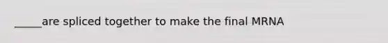 _____are spliced together to make the final MRNA