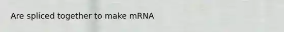 Are spliced together to make mRNA