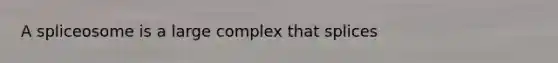 A spliceosome is a large complex that splices