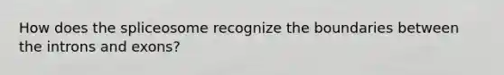 How does the spliceosome recognize the boundaries between the introns and exons?