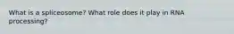 What is a spliceosome? What role does it play in RNA processing?