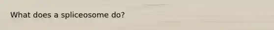 What does a spliceosome do?