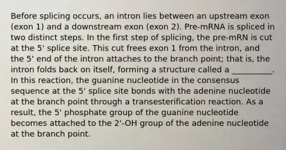 Before splicing occurs, an intron lies between an upstream exon (exon 1) and a downstream exon (exon 2). Pre-mRNA is spliced in two distinct steps. In the first step of splicing, the pre-mRN is cut at the 5' splice site. This cut frees exon 1 from the intron, and the 5' end of the intron attaches to the branch point; that is, the intron folds back on itself, forming a structure called a __________. In this reaction, the guanine nucleotide in the consensus sequence at the 5' splice site bonds with the adenine nucleotide at the branch point through a transesterification reaction. As a result, the 5' phosphate group of the guanine nucleotide becomes attached to the 2'-OH group of the adenine nucleotide at the branch point.