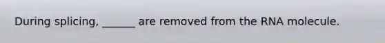 During splicing, ______ are removed from the RNA molecule.