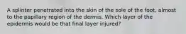 A splinter penetrated into the skin of the sole of the foot, almost to the papillary region of the dermis. Which layer of the epidermis would be that final layer injured?